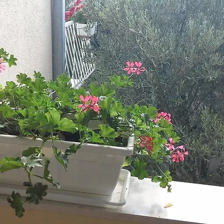 Anini Dvori Apartamento
