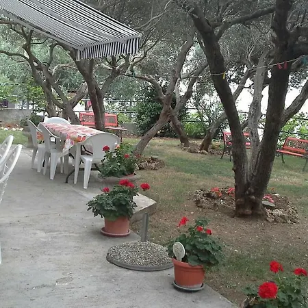 Anini Dvori *
